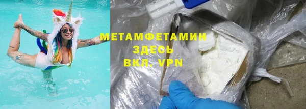 прущие грибы Беломорск