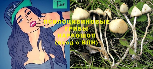 ешки Белоозёрский