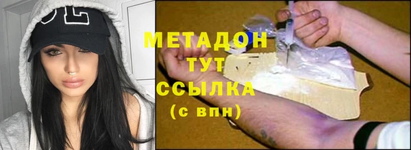 прущие грибы Беломорск