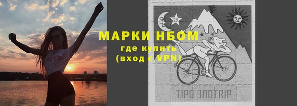 прущие грибы Беломорск