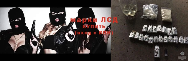 прущие грибы Беломорск