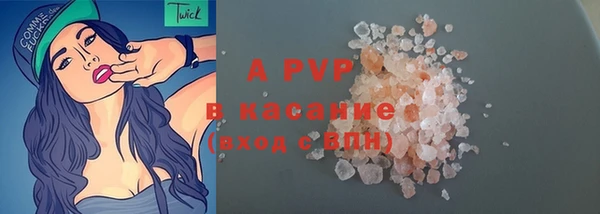 прущие грибы Беломорск