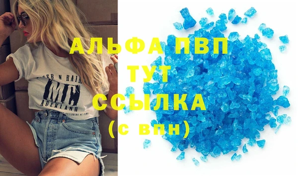 прущие грибы Беломорск