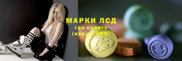 прущие грибы Беломорск