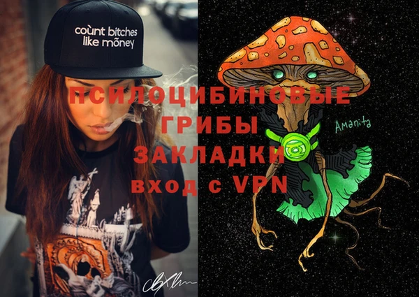 дурь Белокуриха