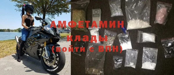 прущие грибы Беломорск
