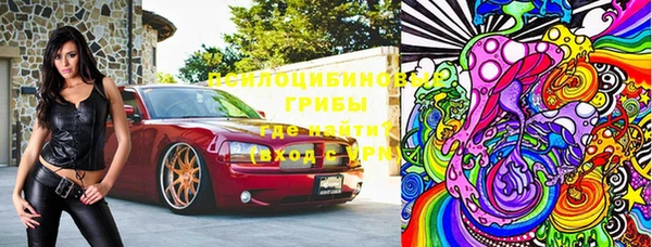 прущие грибы Беломорск